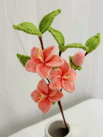 Triflora Peach blossoms