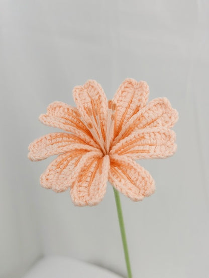 Lewisia Crochet Flower