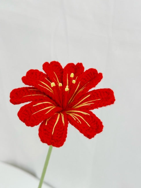 Lewisia Crochet Flower