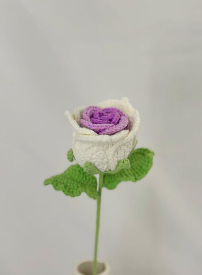 Thai Rose Crochet Flower