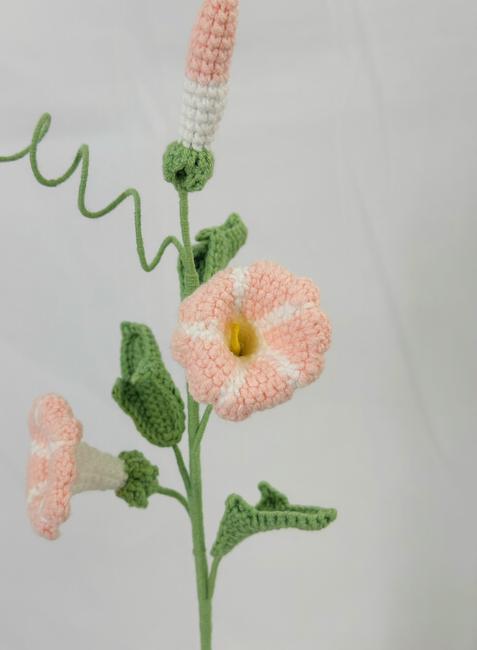 Japanese Morning Glory Crochet Flower