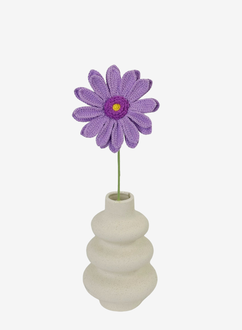 Transvaal Daisy Crochet Flower